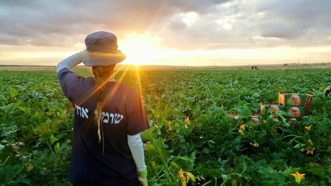 סיכום שנה חלוצית