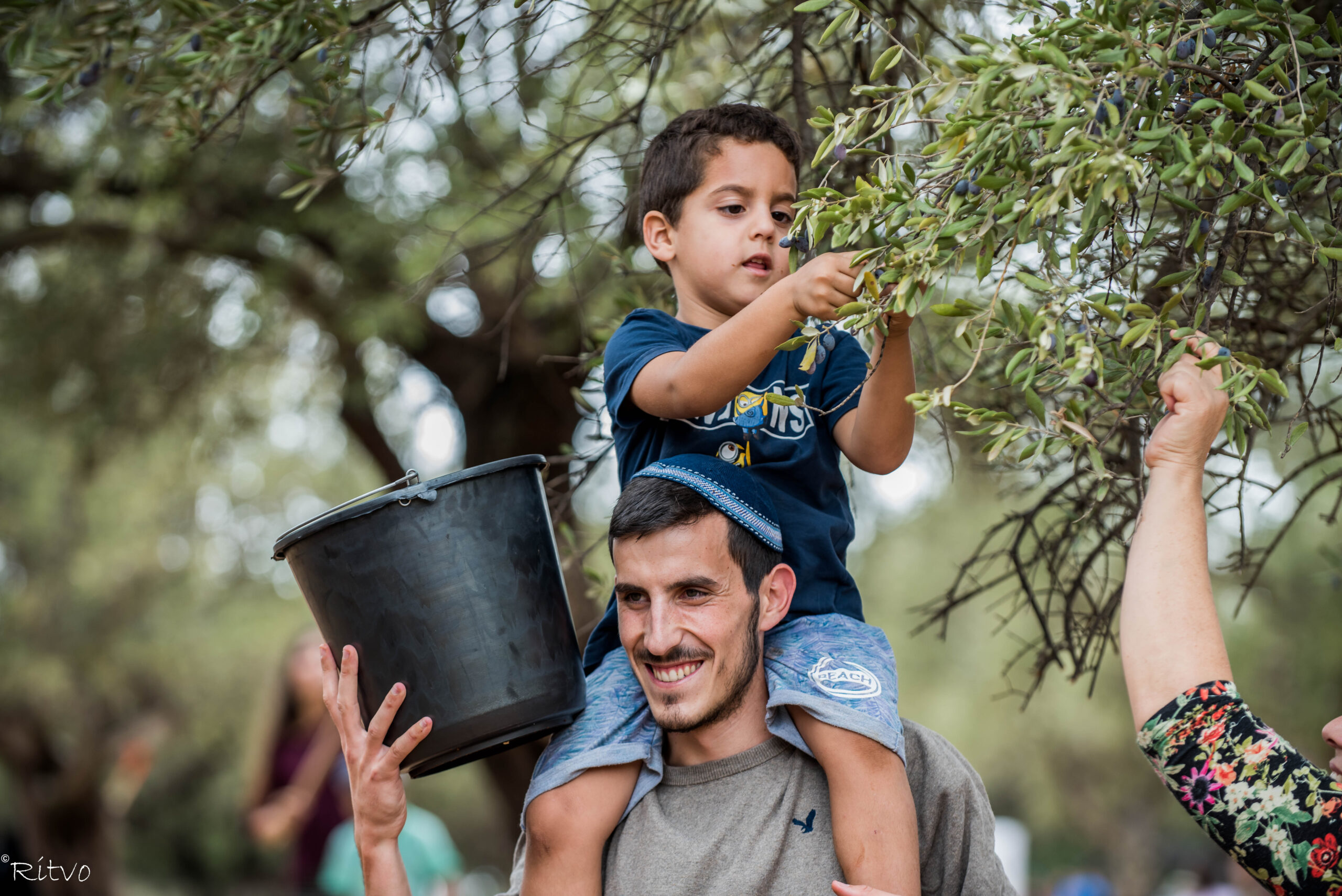 עשרת הדיברות